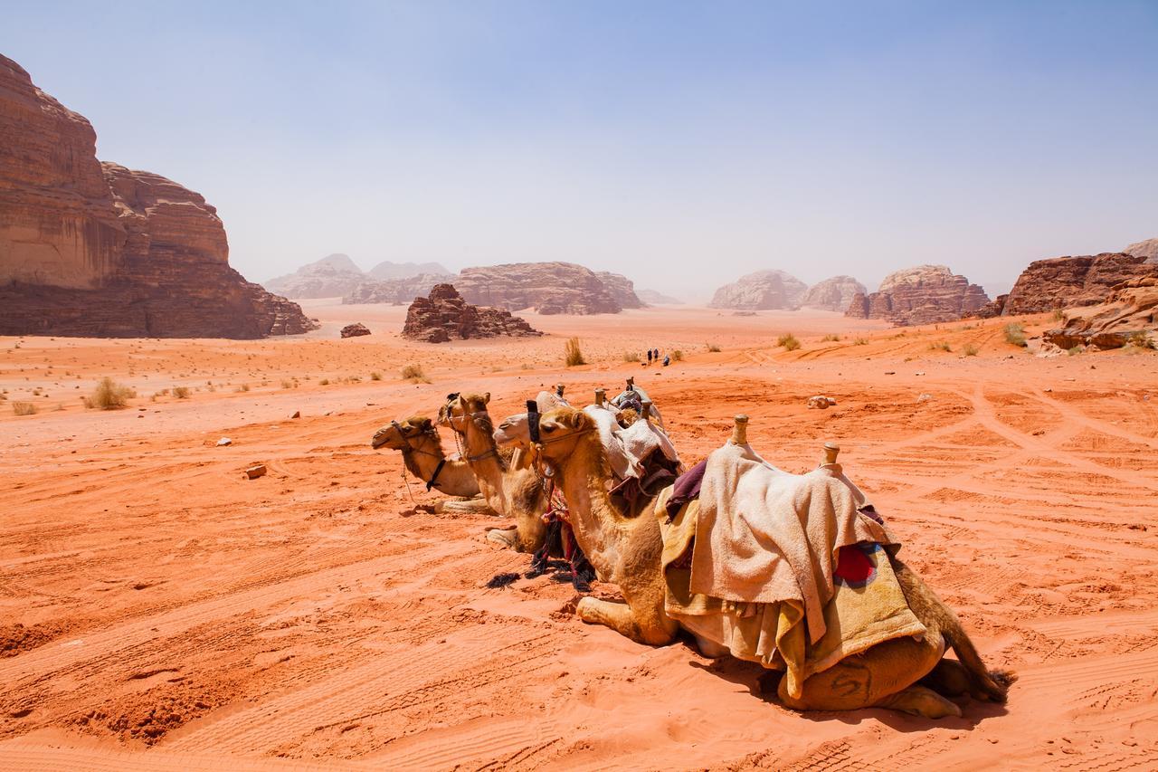 Arabian Nights Hotel Wadi Rum Luaran gambar