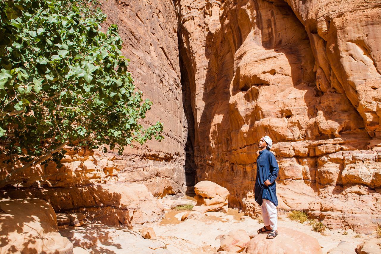 Arabian Nights Hotel Wadi Rum Luaran gambar